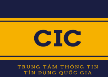 Cuộc Tấn Công Mạng Vào Hệ Thống Thông Tin Tín Dụng Quốc Gia (CIC) Việt Nam